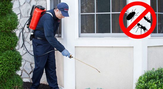 Bursa Hamam Böceği İlaçlama böcek ilaçlama ve haşere kontrolü — ilaclama-tr.com